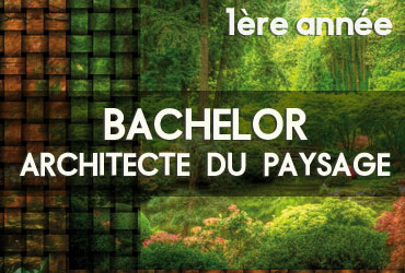 Bachelor Architecte du paysage - 1ère année