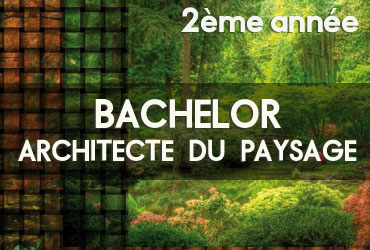 Bachelor Architecte du paysage - 2ème année