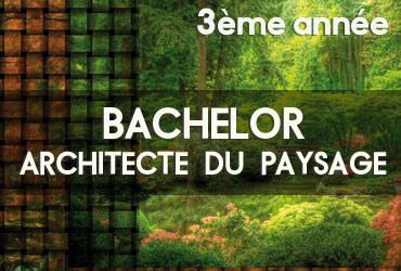 Bachelor Architecte du paysage - 3ème année